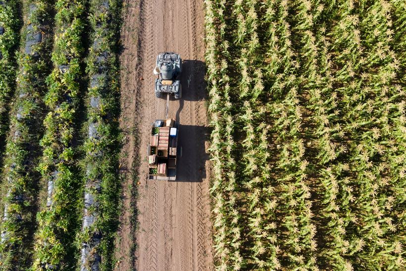 Agroindustria y alimentos